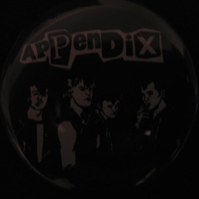 Appendix 2 1/4"