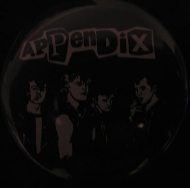 APPENDIX 2 1/4"