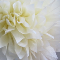 7 Tissue Paper Poms | Wedding | Birthday | Baptism | Pom Flowers | Custom Colors - Thumbnail 1