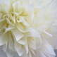7 Tissue Paper Poms | Wedding | Birthday | Baptism | Pom Flowers | Custom Colors-1