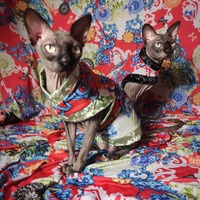 Chinese Democracy - Thumbnail 1