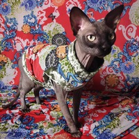 Chinese Democracy - Thumbnail 2