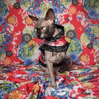 Chinese Democracy - Thumbnail 3