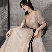 Champagne tulle long A line prom dress evening dress - Thumbnail 2