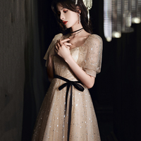 Champagne tulle long A line prom dress evening dress - Thumbnail 3