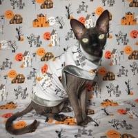 Haunted Hood - Thumbnail 2