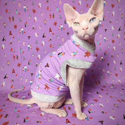 Donnie darko - Thumbnail 3