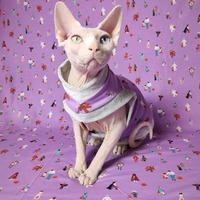 Donnie Darko - Thumbnail 2