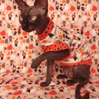 Witch Please - Thumbnail 1