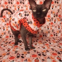 Witch Please - Thumbnail 2