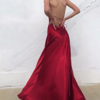 Spaghetti Straps Backless Long Evening Dress Sexy Prom Dress - Thumbnail 1