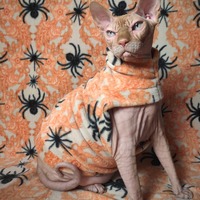 Arachnophobia - Thumbnail 1