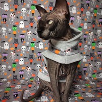 Monster Mash - Thumbnail 2