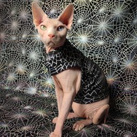 Web of Iridescence - Thumbnail 2