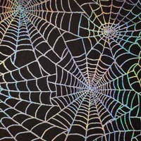 Web of Iridescence - Thumbnail 3