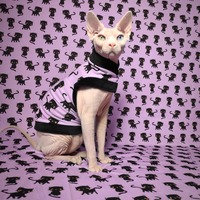 Black Cat Magic - Thumbnail 2