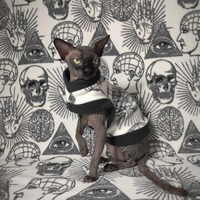 Gnosis - Thumbnail 1