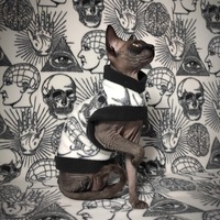 Gnosis - Thumbnail 2