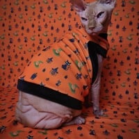 Which Witch? - Thumbnail 1