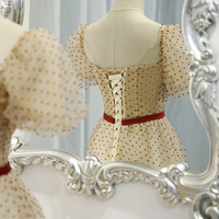 Cute tulle long A line prom dress evening dress - Thumbnail 4