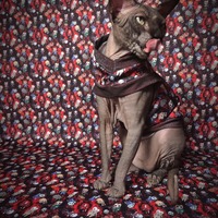 Bloody Nightmares - Thumbnail 1