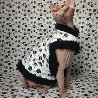 Itsy Bitsy Spiders - Thumbnail 1