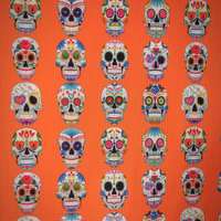 Sugar Skullz (Orange) - Thumbnail 4