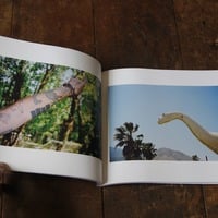 Finding Magic, Michael Cardiello - Thumbnail 2