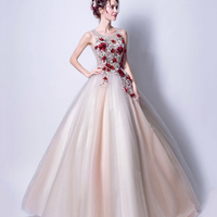 Elegant tulle applique long A line prom dress evening dress - Thumbnail 1