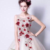 Elegant tulle applique long A line prom dress evening dress - Thumbnail 4