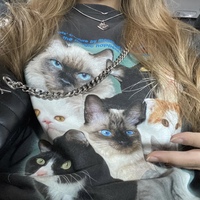 CATS WORLD SWEATER - Thumbnail 4