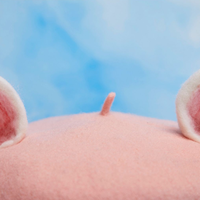 Cute White & Pink Animal Ears Wool Beret Hat - Thumbnail 4