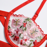 Sexy Embroidered Underwear Set - Thumbnail 1