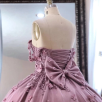 Off The Shoulder Stain Quinceanera Dress With Lace Appliques  - Thumbnail 1