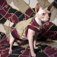 The Bridle Party - Thumbnail 1