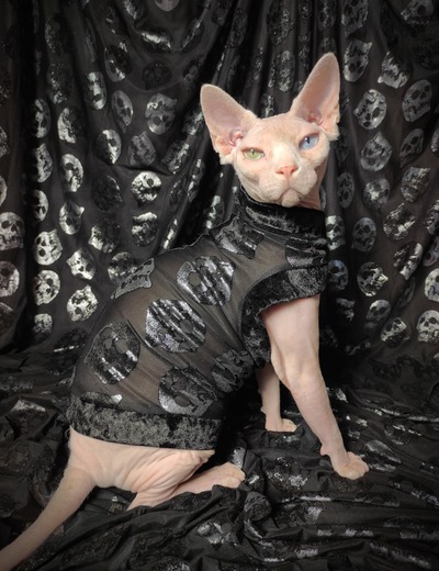 Black Metalic Skulls Lace