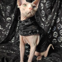 Black Metalic Skulls Lace - Thumbnail 2