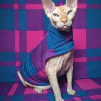 The Mods - Thumbnail 1