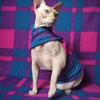 The Mods - Thumbnail 2