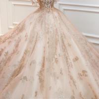 Rose gold or pink beaded bodice cap sleeves sparkle ball gown wedding dress with short train & glitter tulle,1130 - Thumbnail 1