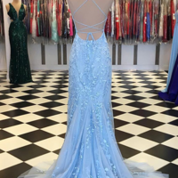 Mermaid Long tulle prom dress with lace - Thumbnail 1