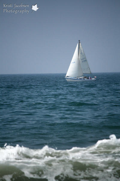 Pacific Dreaming 8x10