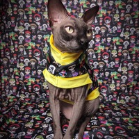 Co Co Knows - Thumbnail 1