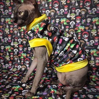 Co Co Knows - Thumbnail 2