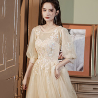 Champagne tulle lace long prom gown evening gown - Thumbnail 3