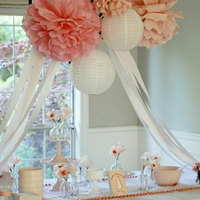  Paper Lanterns and Pom Poms | Birthday Party | Nursery Decor | Bridal Shower  - Thumbnail 1