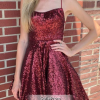 SP1858,A Line Burgundy Sequin Spaghetti Strap Short Prom Dress With Open Back - Thumbnail 1