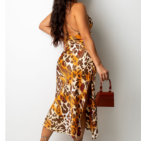 V-Neck Women' Leopard Sling Sleeveless Dress - Thumbnail 1