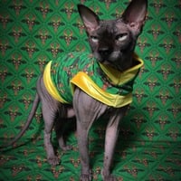 Krampus In Chains - Thumbnail 2