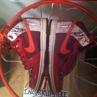 Dontrelle Willis (Tiger Woods) Nike Dunks Size 8  - Thumbnail 2